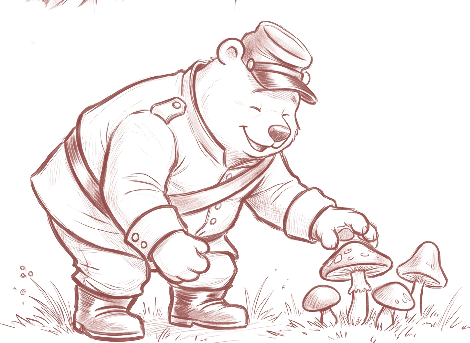 The bear picking mushrooms from the forest floor