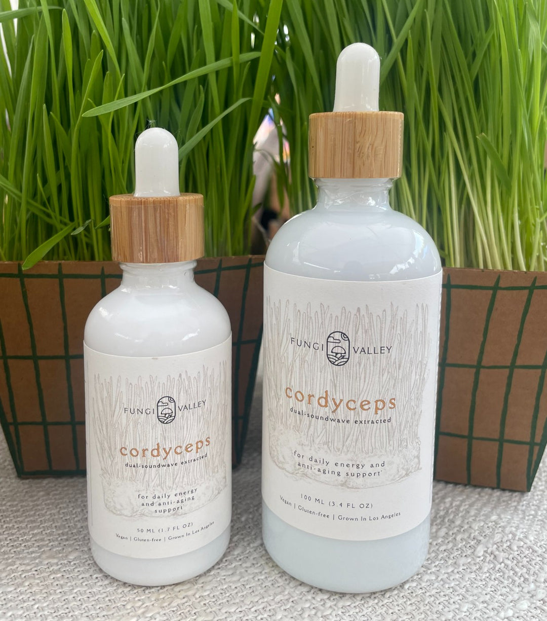 Fungi Valley Cordyceps Tincture