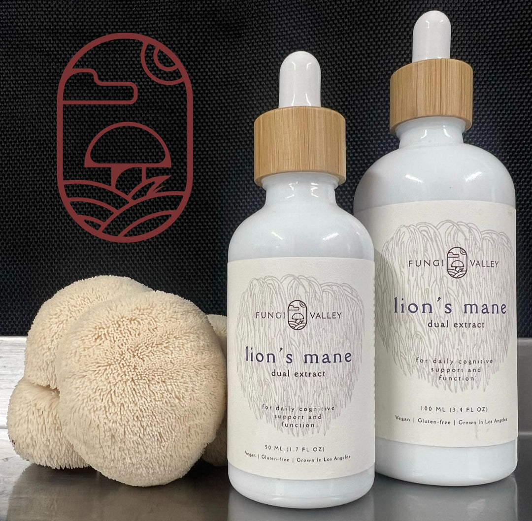 Fungi Valley Lion's Mane Tincture